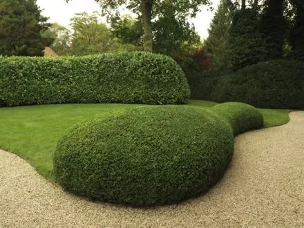 zsxglwmsyit5z04idx54mgf43 181879