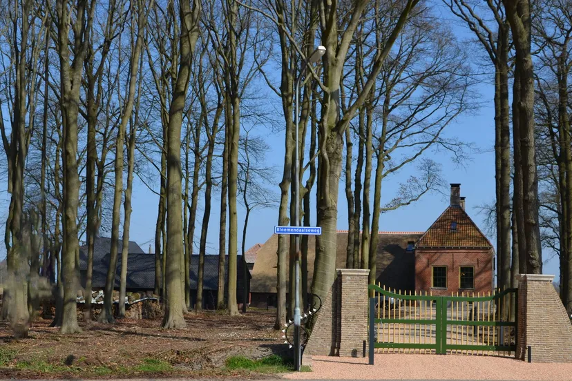 2022 04 04 groothennekeler bzzzonder 2