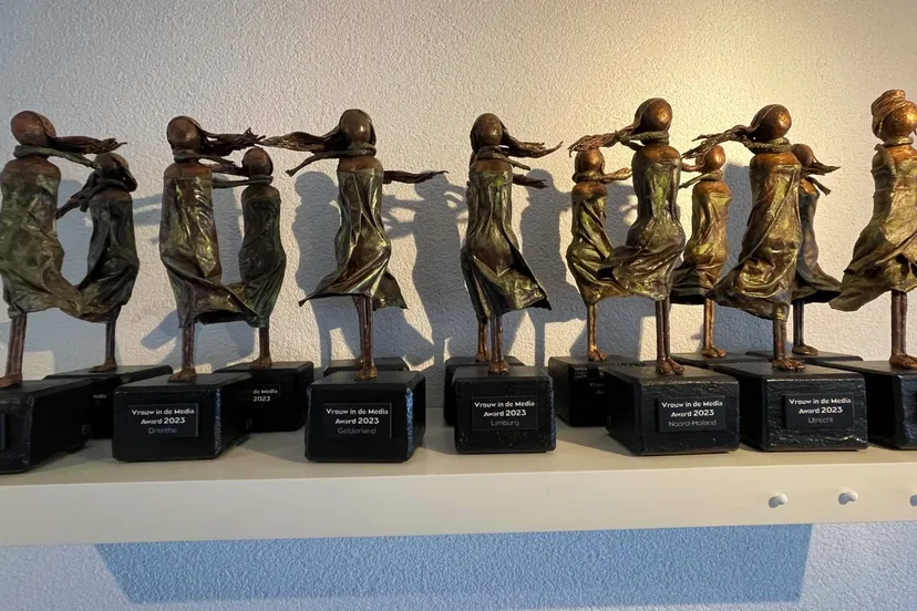 2024 03 07 vidm award