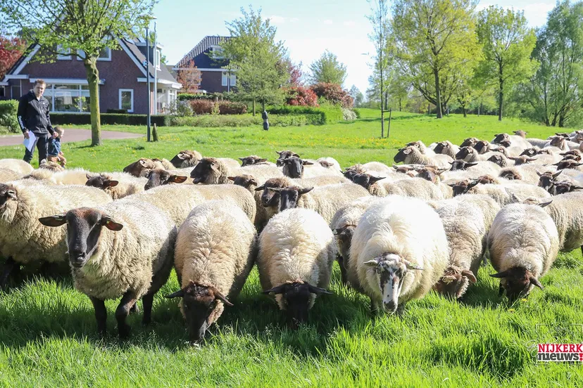 2024 04 10 meida ukkie dagen 05