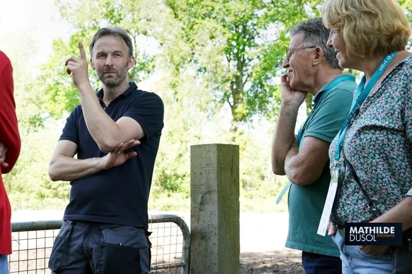 2024 05 11 leeuwen 04437 middel