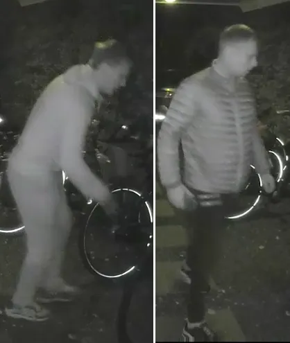 2024266366 allebei ve