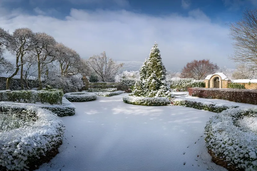 2024 010 02 een wintertuin