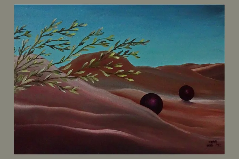 2024 10 28 belvenissen 4