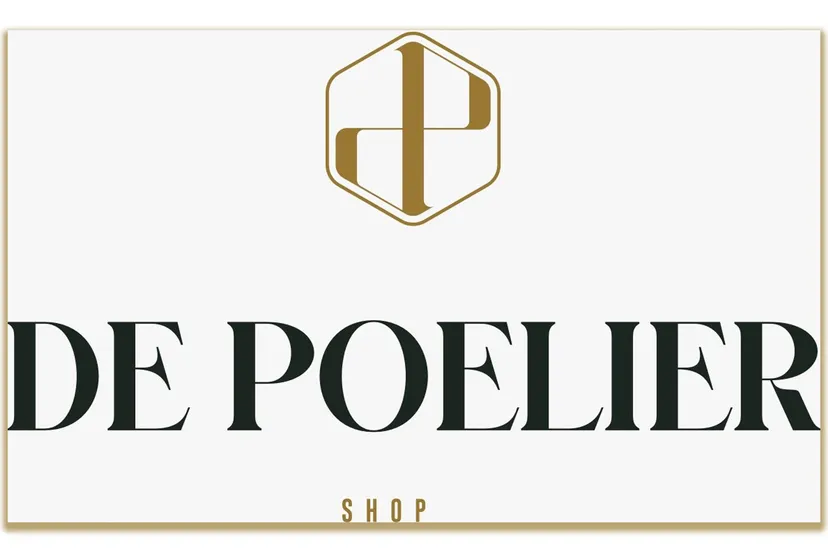 2024 10 29 de polier logo