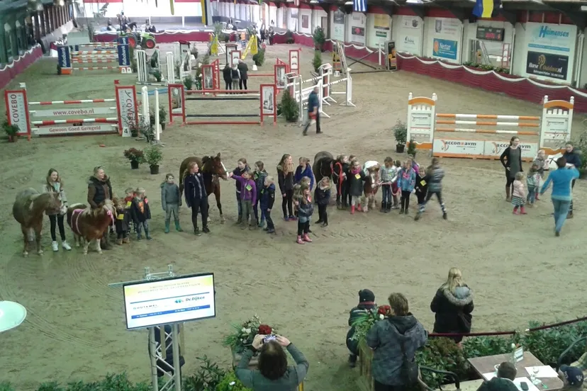 2015 02 27 jumping indoor 1