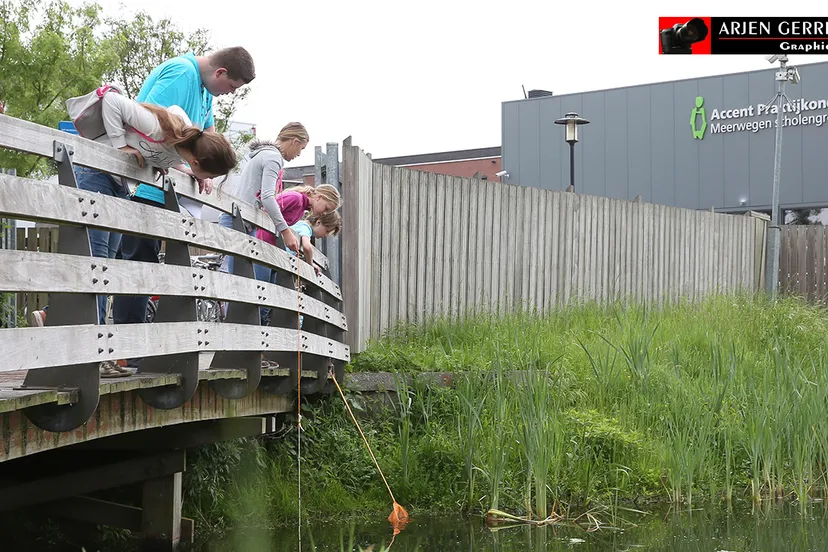 2016 05 25 accent eco experiende 0141