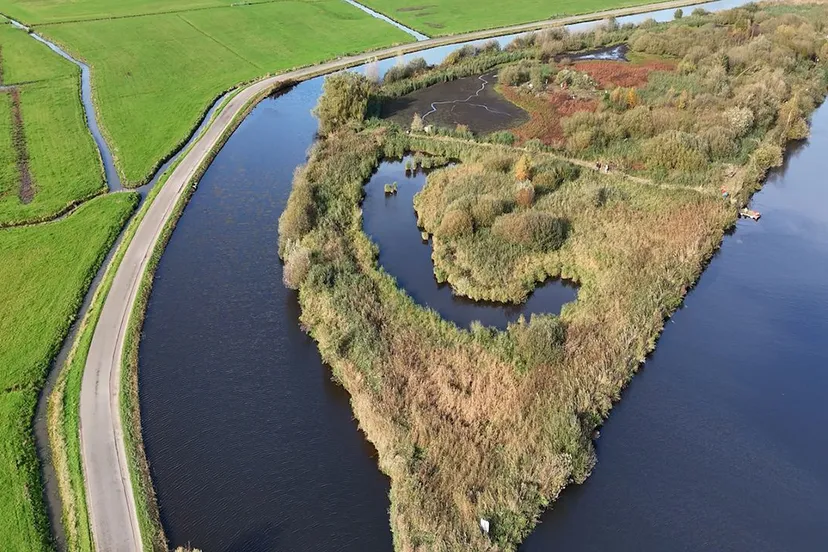 2024 11 02 vogeleilnd