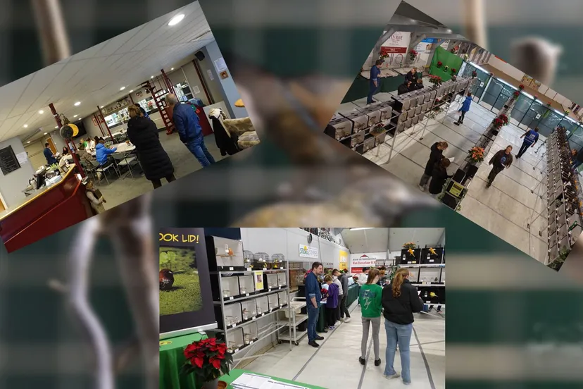 2024 11 12 vogelvriend