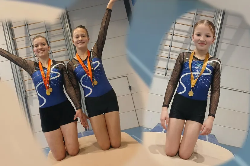 2024 11 24 excelsior