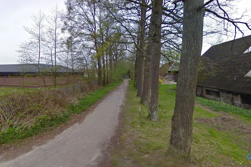 2024 11 26 hartenpad