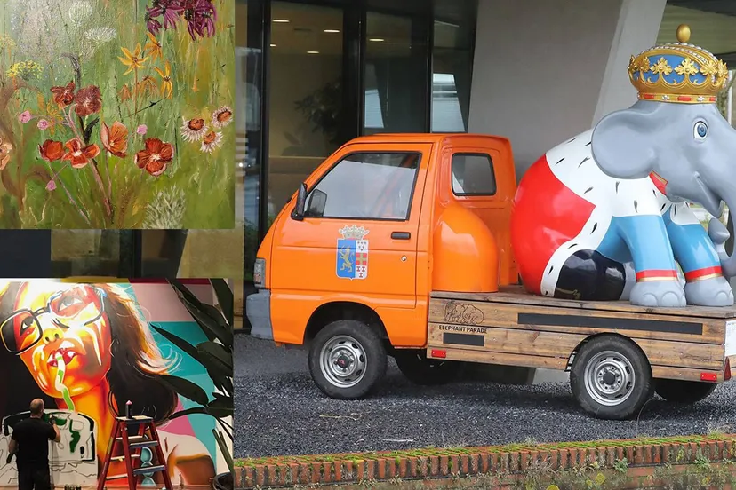 2025 01 14 elephant parade