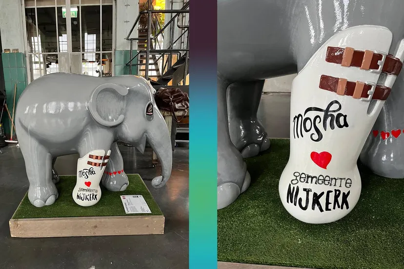 2025 01 23 elephant parade2