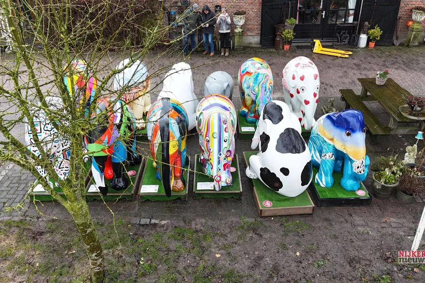 2025 02 11 elephant nicole des bouvri 3