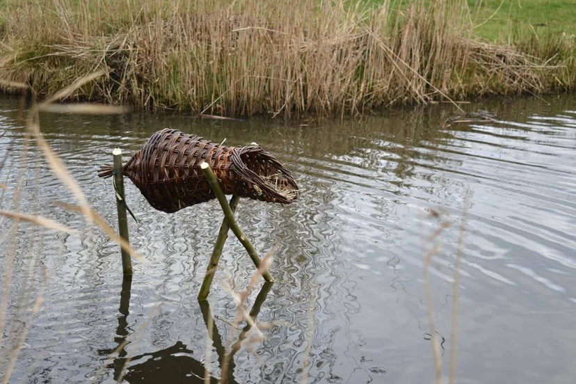 2025 03 01 wbe broedkorven 06