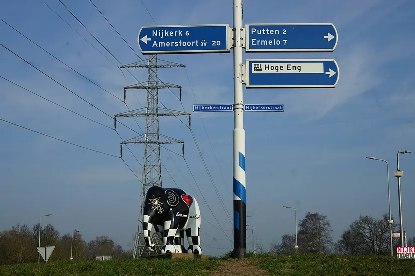 2025 03 10 olifant op stap001