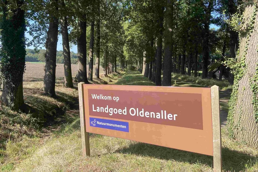 2025 03 12 oldenaller