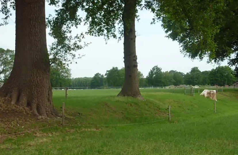 2025 03 13 dekzandrug