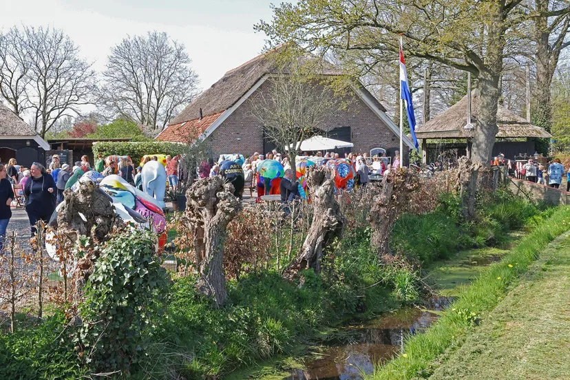 2025 04 11 elephant 2