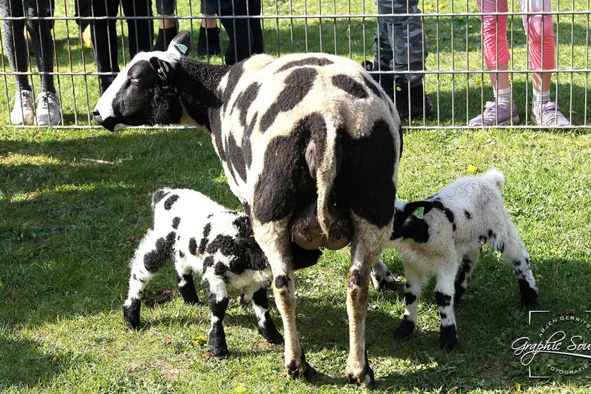 2025 04 11 maranathaschool 001