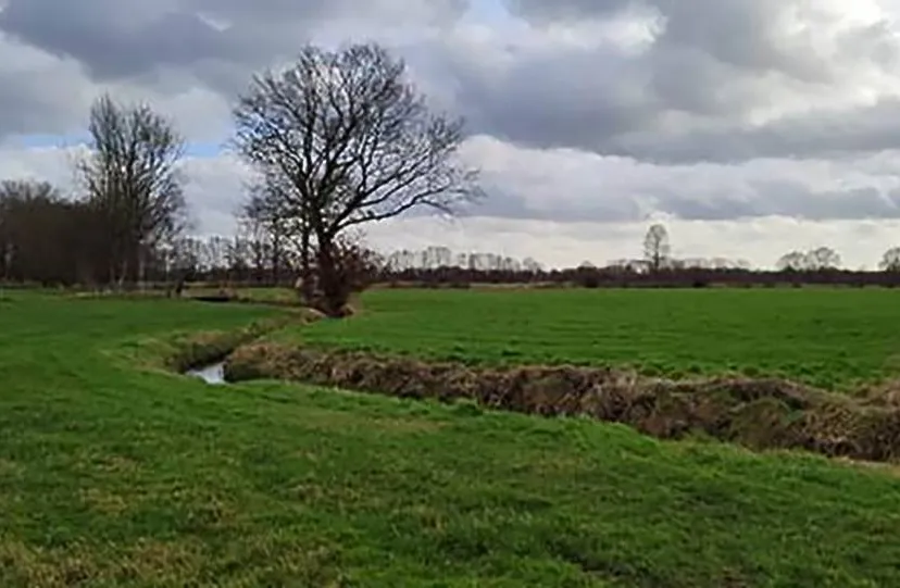 2025 04 15 breede beek