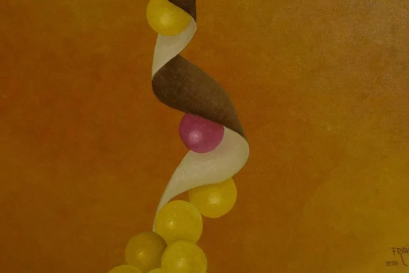 2025 06 24 frank van der kaaij belevenissen 11