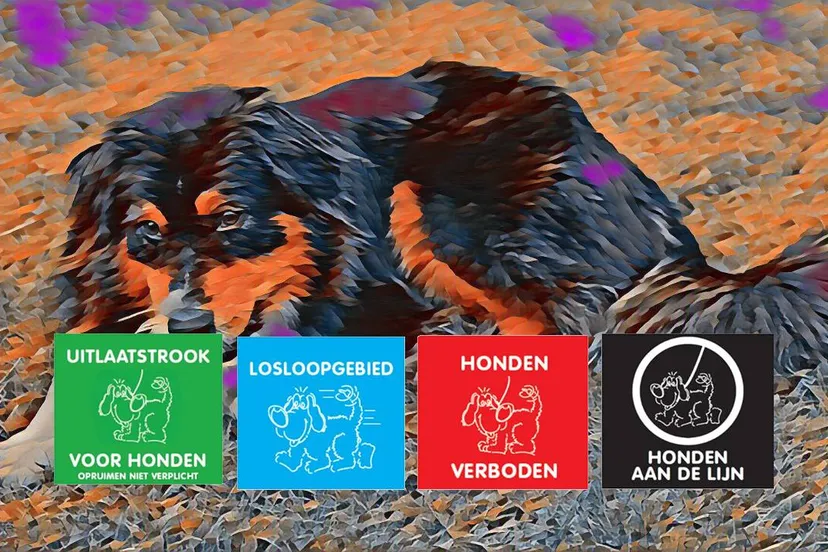 2025-07-18 honden uitlaatbeleid