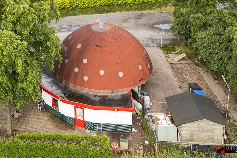 2025-07-25 de paddenstoel