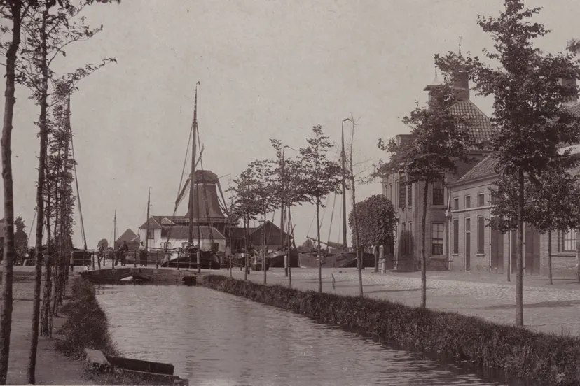 2026-02-06 de dolphijn