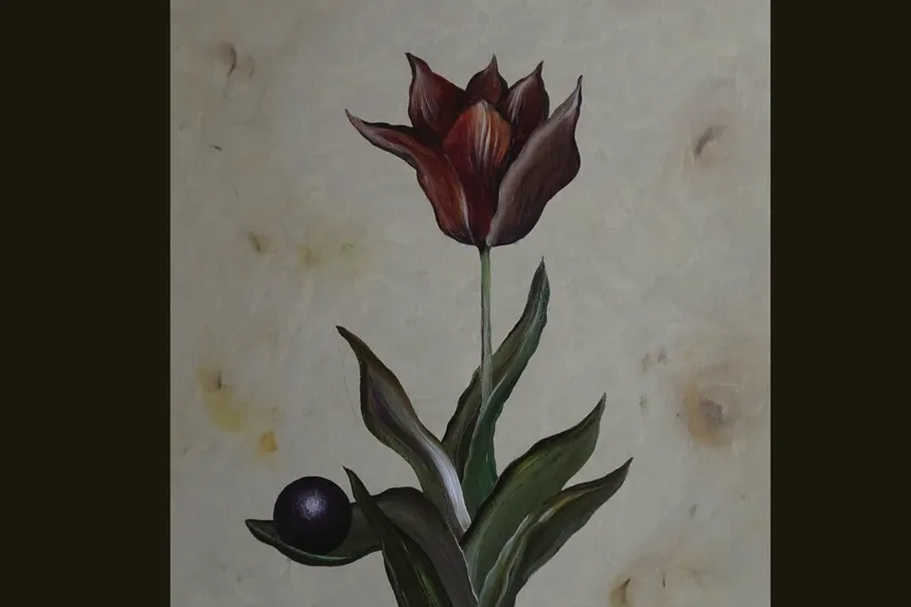 2026-03-01 frank van der kaaij