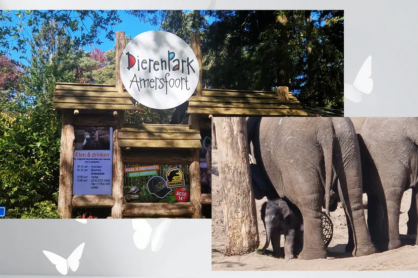 2026-04-29 dierenpark jongerenwerk 1