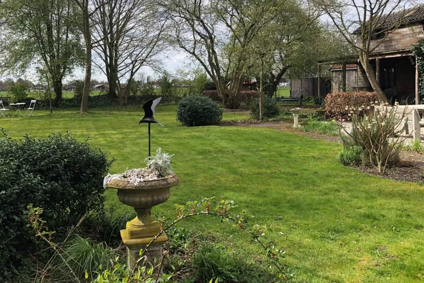 2026-06-08 tuin