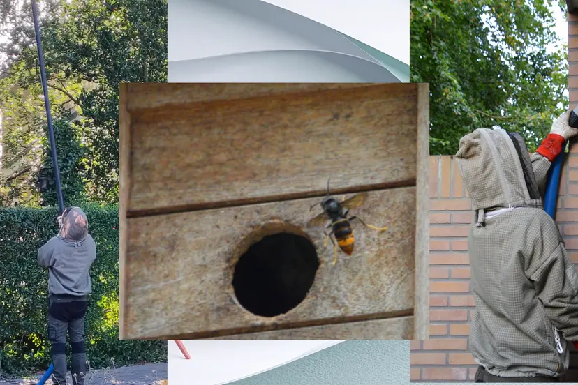 2026-07-21 hoornaar