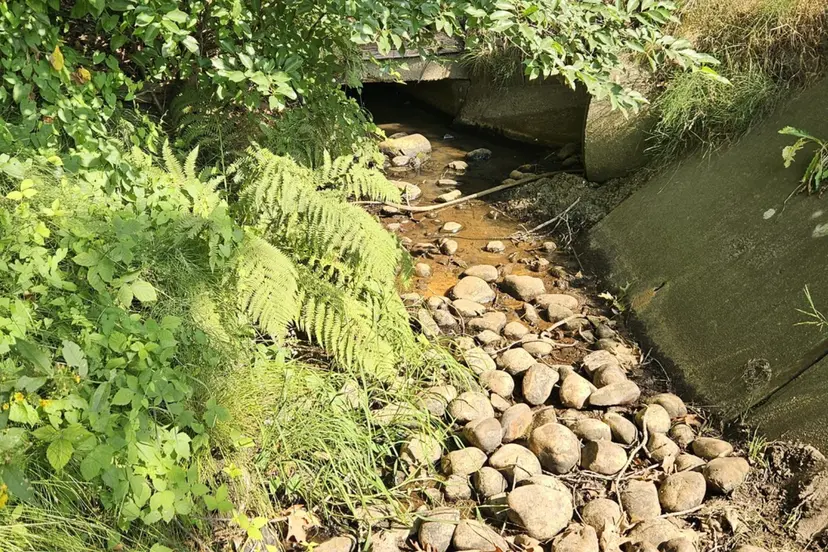 2026-07-18 waterschap droogte Veldbeek Bussenweg Putten