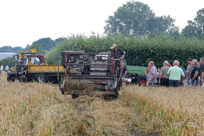 2026-08-15 appelse oogstdag-215