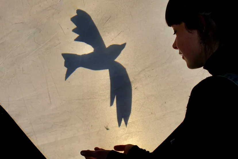 05052022 kinderbevrijdingsfestival 2022 beeld rechtenvrij