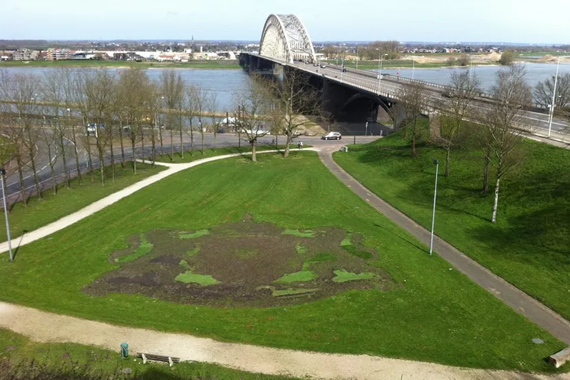 11403380 980254845353118 5736564253509510451 n 1