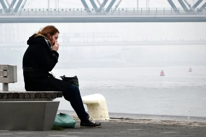 16897436425 96d54414b2 h