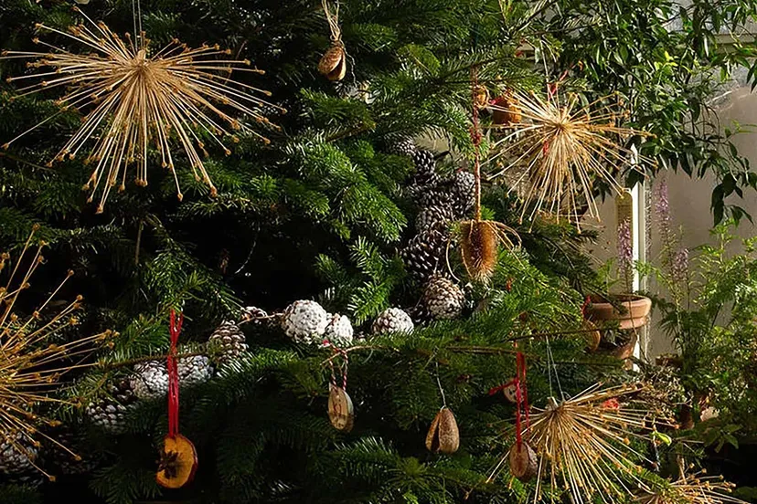 20211111 kerstindehortus 1600x1200 1