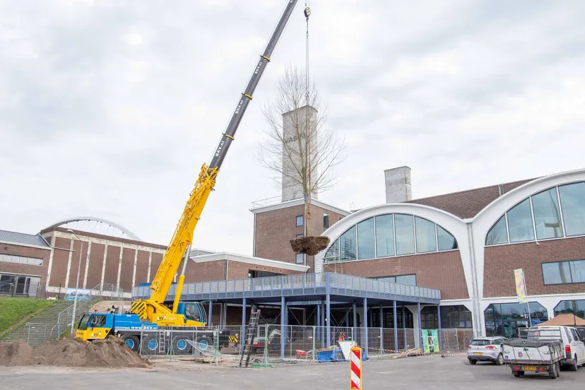 336684306 870948854001749 474967175146841632 n