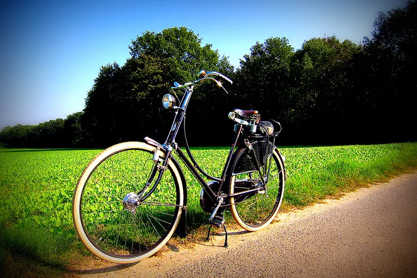 7666959994 1ec331816b b