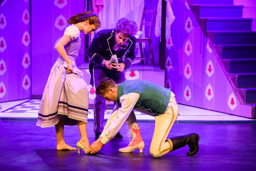 assepoester de musical 009 wim lanserklein