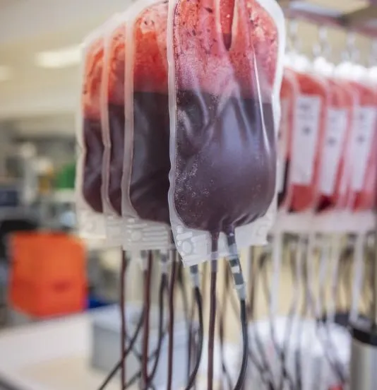 bloeddonatie c sanquin