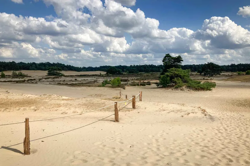 broedseizoenafsluiting hulshorsterzand foto natuurmonumenten