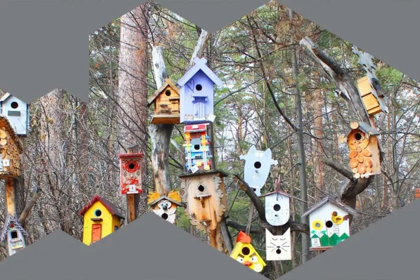 buren8402c309 e85b 44f7 9367 4965270d150b thumb1140