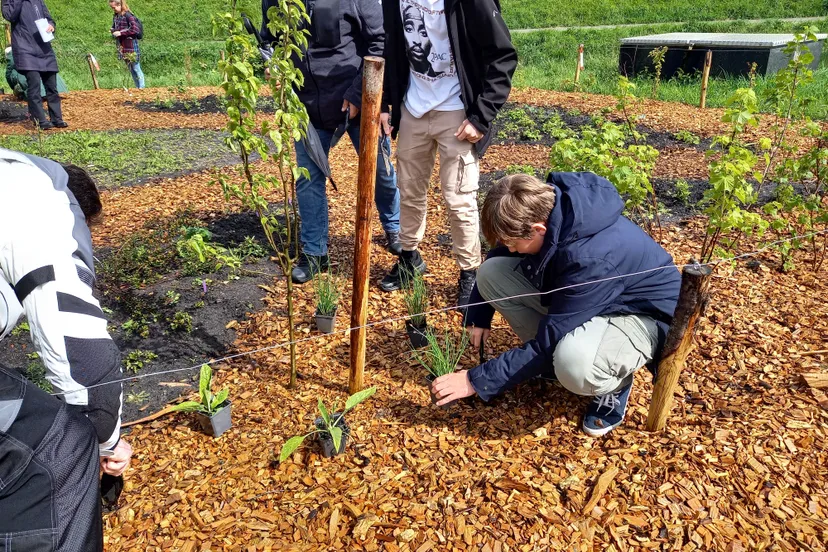 citadel voedselbos 2024 3