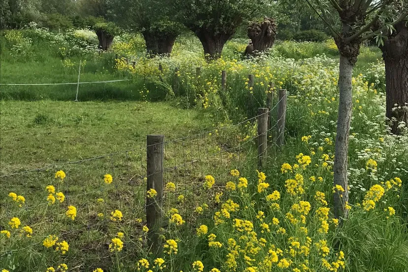 dorniknatuurakkers3c955fff 7a0e 4b4b 9c0b bdcb76e04c45 1152x1536 1