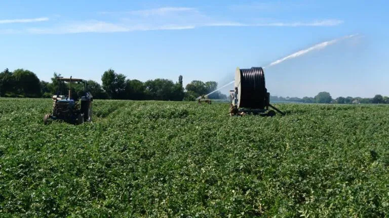 grondwaterverbodstelkampsveldborrculoregio8 47b1f93362c25168832864604c82ae0e 768x432 1