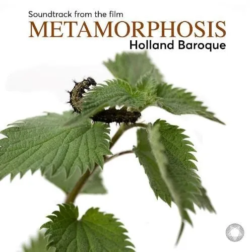 holland baroquemetamorphose 88