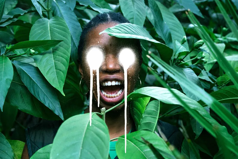 lux programma 2024 2025 studio julian hetzel spafrica pr image landscape